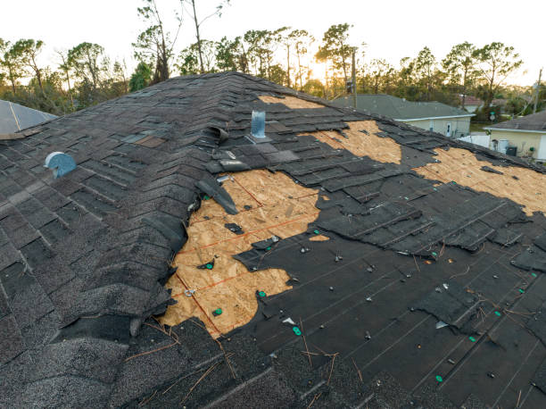 Best Solar Panel Roofing Installation  in Athens, OH